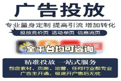 SEM专员的角色与成功案例解析